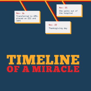 Timeline of a Miracle book cover
