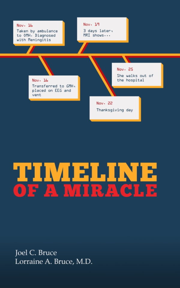 Timeline of a Miracle book cover